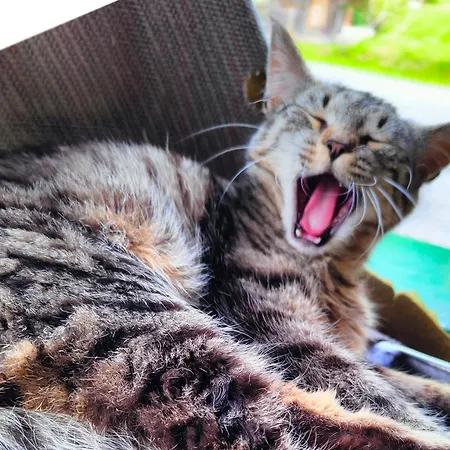 Biobauernhof Obermuehle *