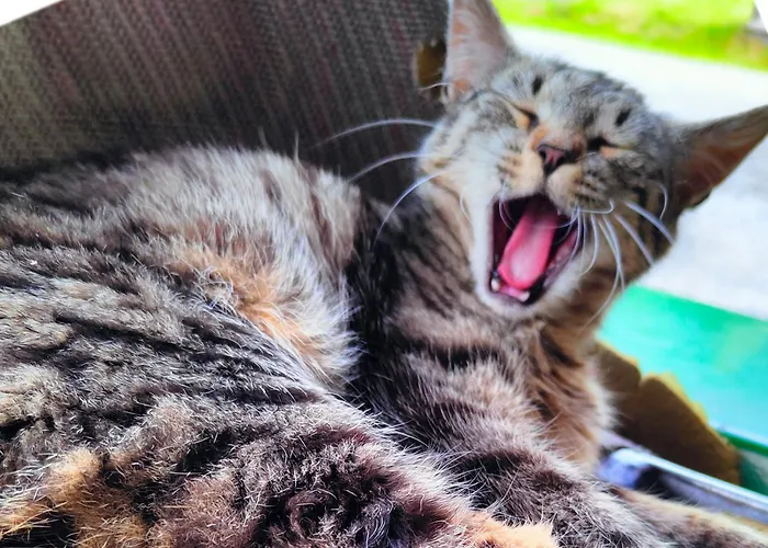 Biobauernhof Obermuehle *